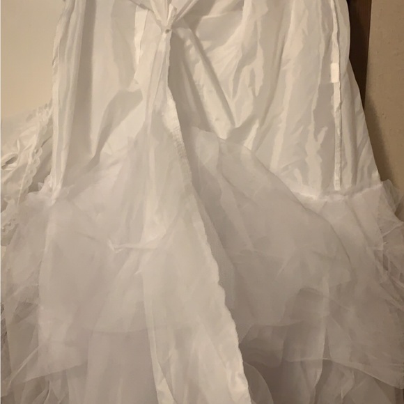 Gorgeous David’s Bridal Wedding Gown - Picture 8 of 9